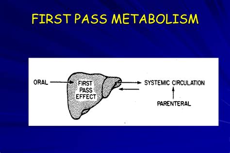 definition of first pass metabolism cycle