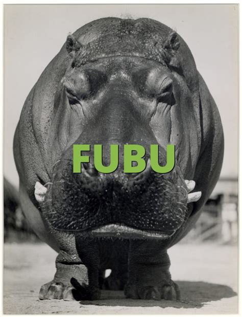 Definition Of Fubu