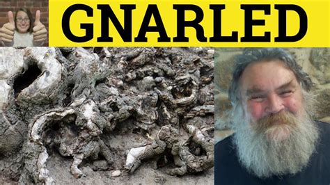 definition of gnarled