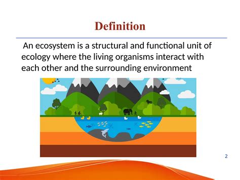 Definition Of The Ecosystem