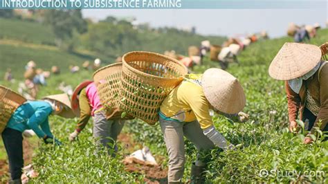 Definition Subsistence Farming