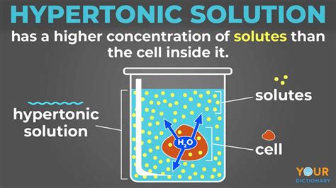 Read Online Definition Of Hypertonic Solution 