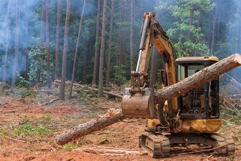 Deforestación Y Causas