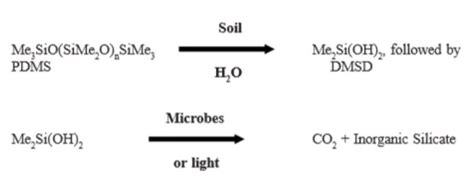 Full Download Degradation Of Silicone Polymers In Nature Green Flow 