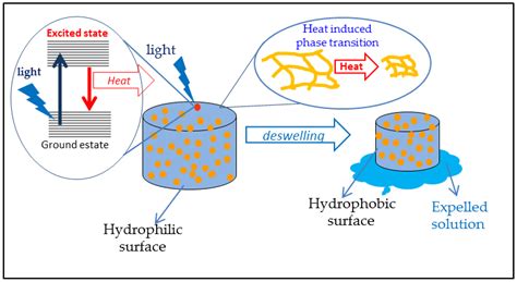 Degradative Hydrogel Scheme
