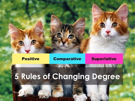 Degree Change Rules
