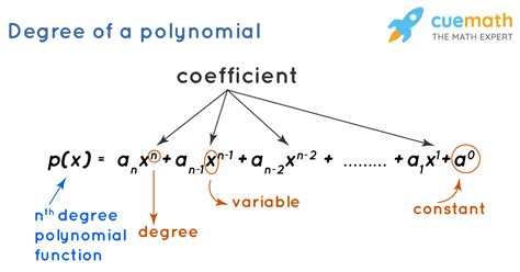 Degree Of A Polynomial