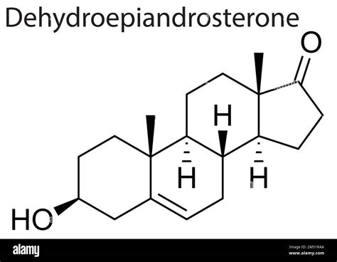 dehidroepiandrosterona