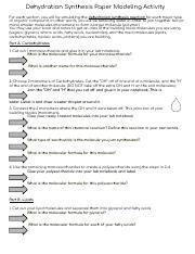 Dehydration Synthesis Paper Activity