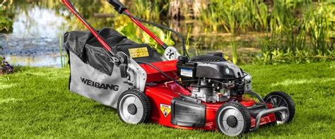 dela fiber med grannen