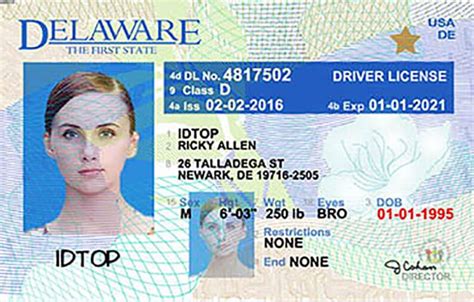 delaware driver licence