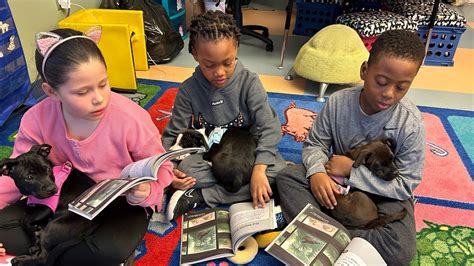 Delaware Teacher Creates Puppy Therapy Program To Help 1st Grade Teacher - 1st Grade Teacher