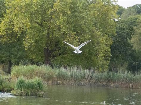 Instagram post by Zoey Bashirian #6