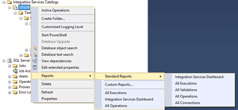 Delete Ssis Package From Integration Services Catalog
