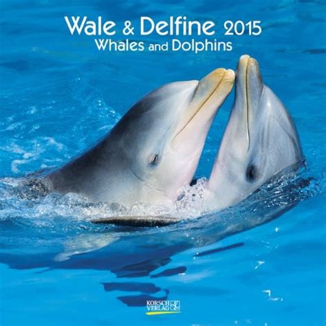 delfine 2015 a i