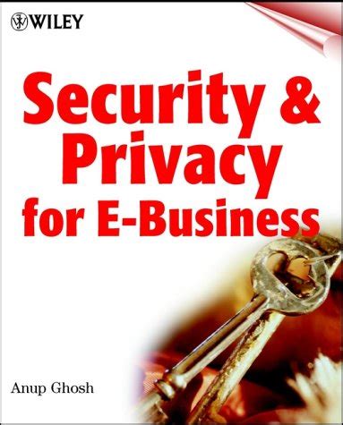 Read Online Delivering Security And Privacy For E Business 