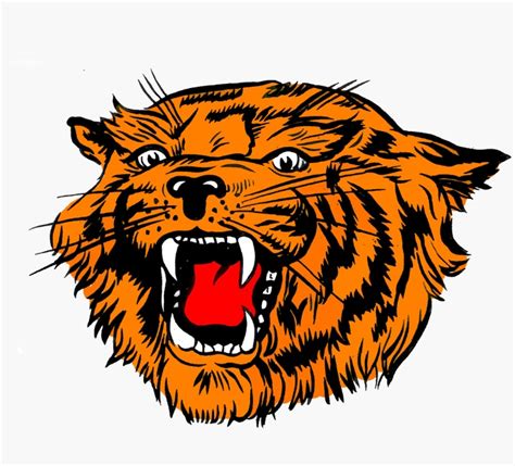 Delmar Wildcats Logo