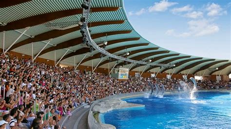 delphinarium riccione prezzi