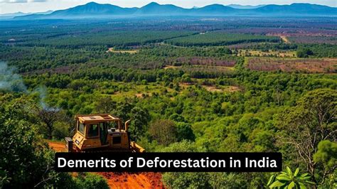 Demerits Of Deforestation