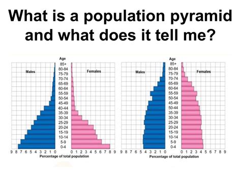 Demographic Analysis Made Easy Population Pyramids Worksheet Answer Population Distribution Worksheet Answers - Population Distribution Worksheet Answers