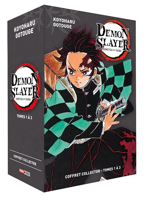 Demon Slayer T01