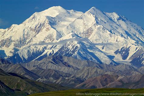 denali alaskan
