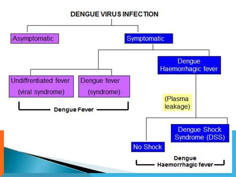Dengue Fever Slideshare