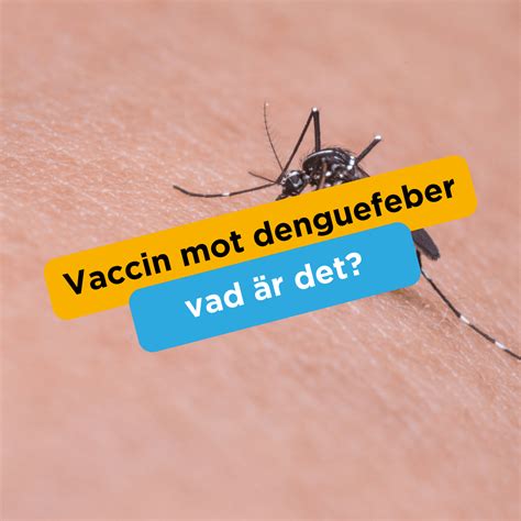 denguefeber vaccin