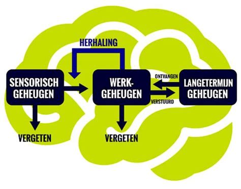 denkproblemen symptomen