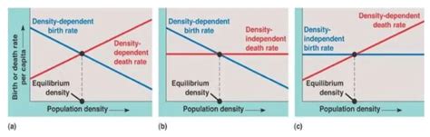 Density Dependent Vs Density Independent