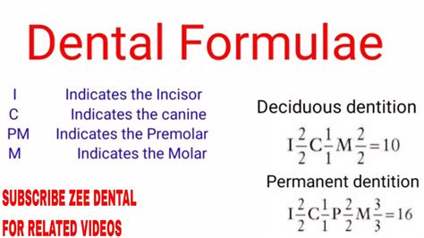 Dental Formula