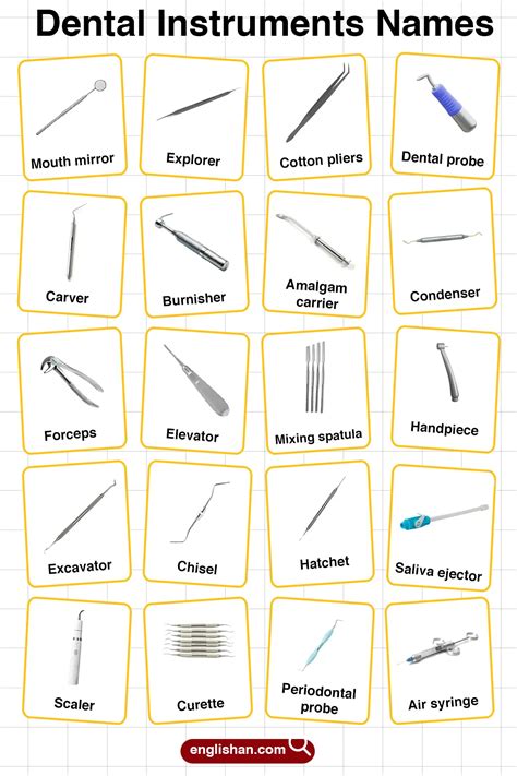 Dental Instruments Names