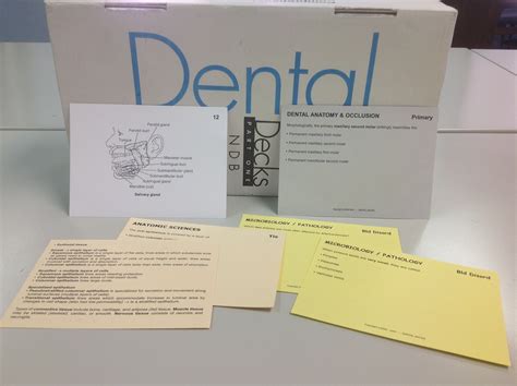 Read Dental Decks 2013 