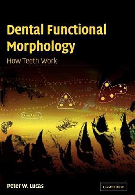 Download Dental Functional Morphology How Teeth Work 