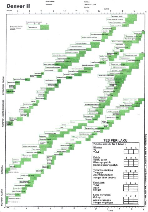 Denver Ii Pdf