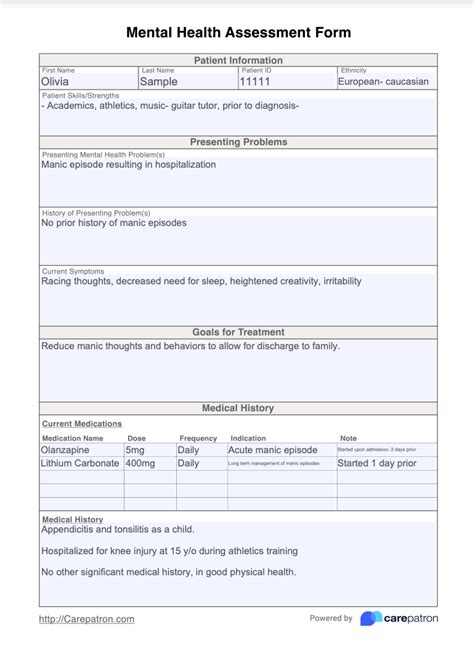 Read Department Of Residental Mental Health Documentation Template 