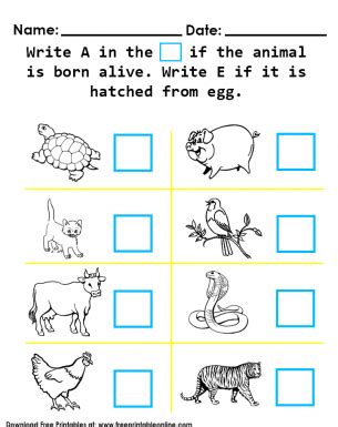 Deped Learning Portal Animal Hatched From Egg - Animal Hatched From Egg