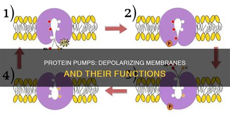 depolarize | Depolarize konser terbaru Facebook