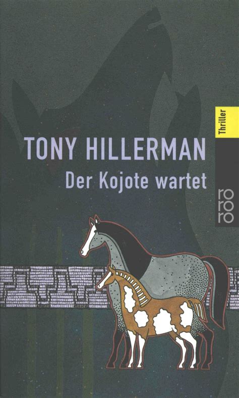 der kojote wartet