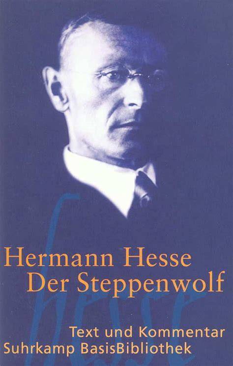der steppenwolf suhrkamp basisbibliothek