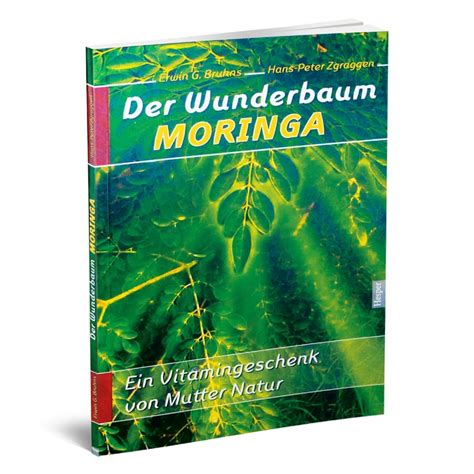 der wunderbaum moringa