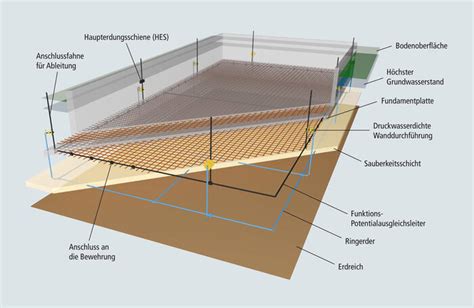 Read Online Der Fundamenterder Dehn 