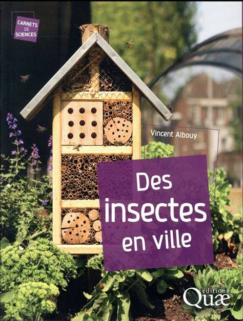 des insectes en ville