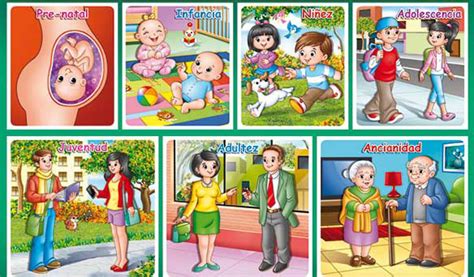 Desarrollo Humano Dibujos
