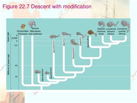 Descent With Modification