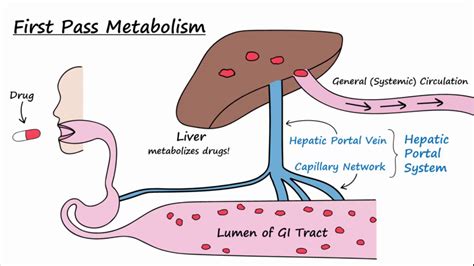 describe first pass metabolism process for a