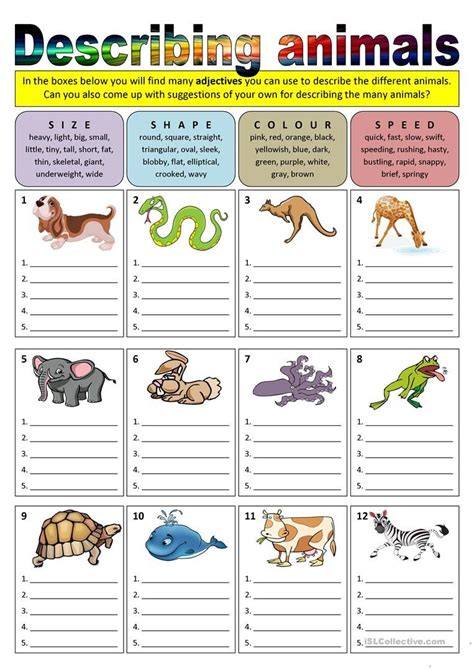 Describe The Animal Writing Pack For K 2nd Animal Writing - Animal Writing