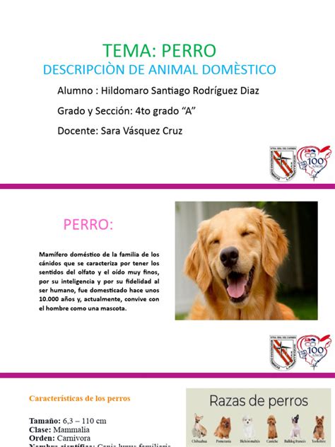 Descripción De Un Perro