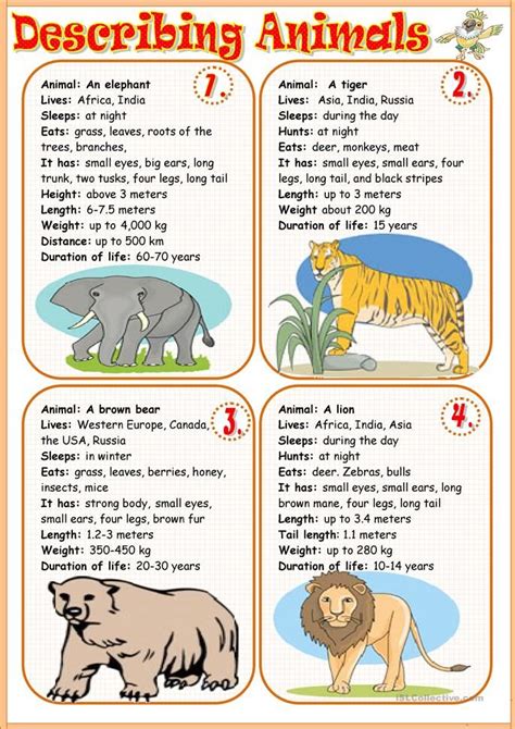 Descriptive Text About Animal