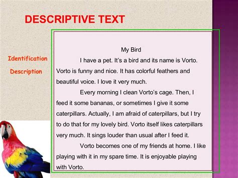 descriptive text examples
